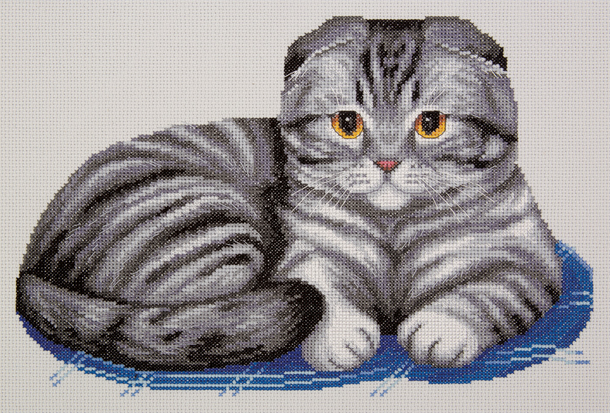 Набор для вышивания крестом PANNA Шотландский вислоухий кот
